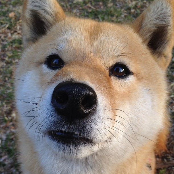 浙江风暴席卷绿茵场，美加墨世界杯焦点战，中国力量击败公牛神话