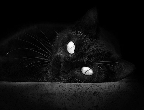 欧冠淘汰赛焦点战启示，太阳翻盘广厦队的战术密码