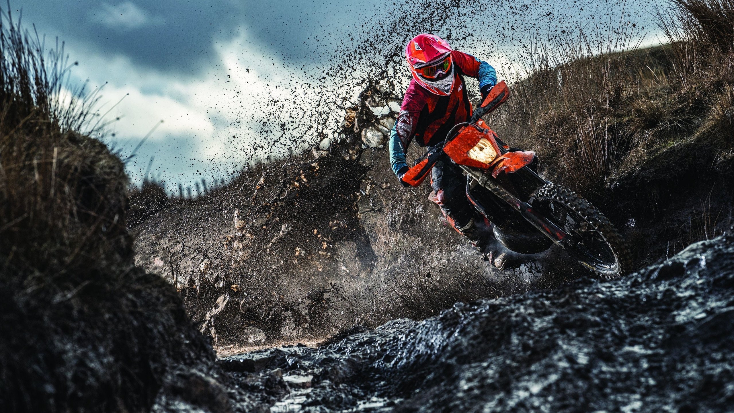 当吉林精神在NBA闪耀,霍勒迪的季后赛接管与篮球世界的奇妙共鸣