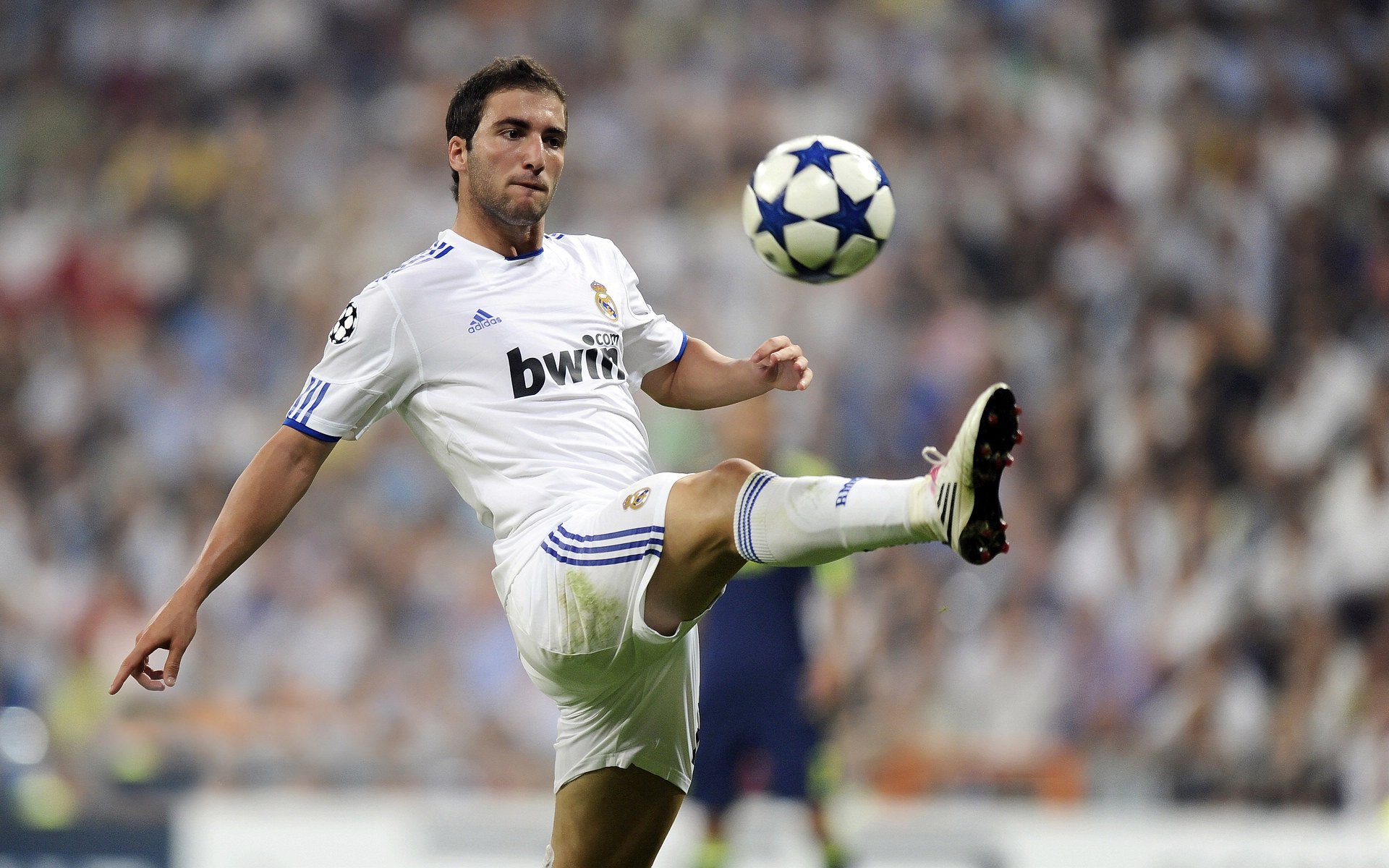 李刚仁冠军级表现闪耀全场，葡萄牙力克新西兰展现唯一性魅力